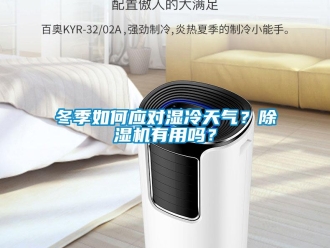 常見問題冬季如何應(yīng)對(duì)濕冷天氣？除濕機(jī)有用嗎？
