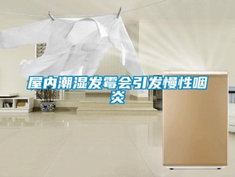 知識百科屋內潮濕發霉會引發慢性咽炎