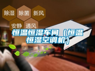 知識百科恒溫恒濕車間（恒溫恒濕空調機）