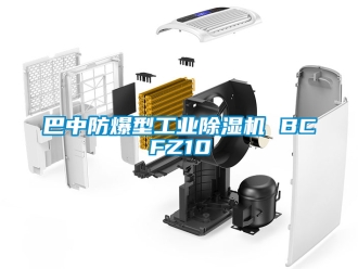 企業(yè)新聞巴中防爆型工業(yè)除濕機 BCFZ10