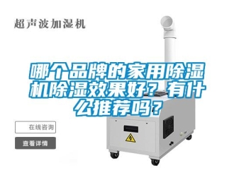 企業(yè)新聞哪個(gè)品牌的家用除濕機(jī)除濕效果好？有什么推薦嗎？