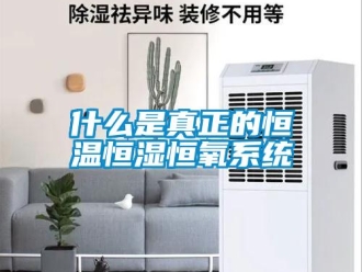 知識百科什么是真正的恒溫恒濕恒氧系統(tǒng)