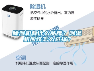 企業(yè)新聞除濕機(jī)有什么品牌？除濕機(jī)應(yīng)該怎么選擇？