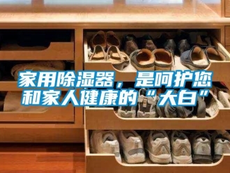 行業新聞家用除濕器，是呵護您和家人健康的“大白”