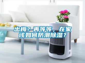 常見(jiàn)問(wèn)題出梅？再等等，在家該如何防潮除濕？