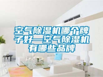 企業新聞空氣除濕機哪個牌子好—空氣除濕機有哪些品牌