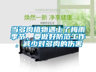 企業新聞當多肉植物遇上了梅雨季節，要做好防范工作，減少對多肉的傷害