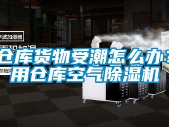 企業新聞倉庫貨物受潮怎么辦？用倉庫空氣除濕機