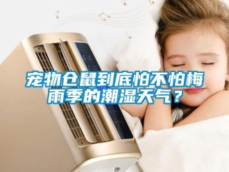 企業(yè)新聞寵物倉(cāng)鼠到底怕不怕梅雨季的潮濕天氣？