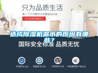 行業新聞造成除濕機漏水的原因有哪些？