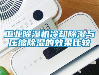 企業(yè)新聞工業(yè)除濕機(jī)冷卻除濕與壓縮除濕的效果比較