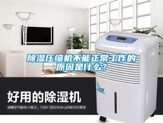 企業(yè)新聞除濕壓縮機(jī)不能正常工作的原因是什么？