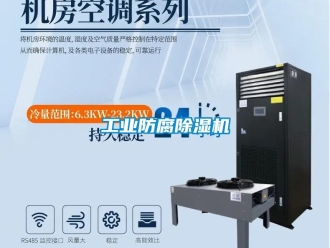 企業(yè)新聞工業(yè)防腐除濕機(jī)