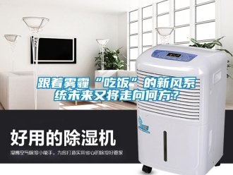 企業(yè)新聞跟著霧霾“吃飯”的新風(fēng)系統(tǒng)未來又將走向何方？