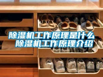 行業新聞除濕機工作原理是什么 除濕機工作原理介紹
