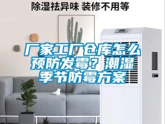 企業(yè)新聞廠家工廠倉庫怎么預防發(fā)霉？潮濕季節(jié)防霉方案
