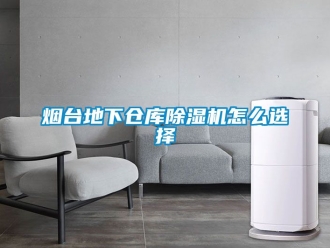 企業(yè)新聞煙臺地下倉庫除濕機怎么選擇