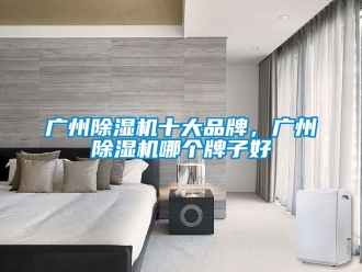 企業(yè)新聞廣州除濕機(jī)十大品牌，廣州除濕機(jī)哪個(gè)牌子好