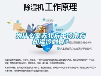 知識百科為什么冬天北方干冷南方卻濕冷刺骨？