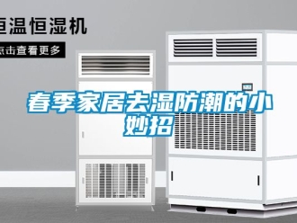 企業(yè)新聞春季家居去濕防潮的小妙招