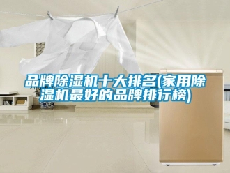 企業新聞品牌除濕機十大排名(家用除濕機最好的品牌排行榜)