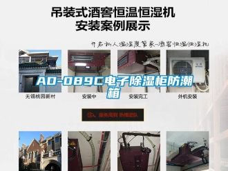 企業(yè)新聞AD-089C電子除濕柜防潮箱