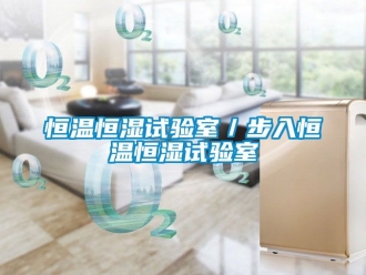 知識百科恒溫恒濕試驗室／步入恒溫恒濕試驗室