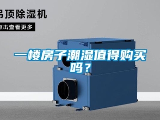 常見問(wèn)題一樓房子潮濕值得購(gòu)買嗎？