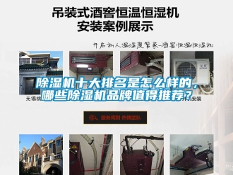 企業(yè)新聞除濕機(jī)十大排名是怎么樣的，哪些除濕機(jī)品牌值得推薦？