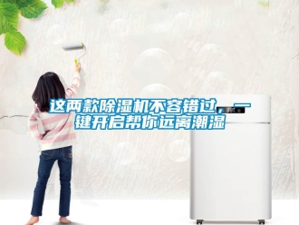 知識百科這兩款除濕機不容錯過，一鍵開啟幫你遠離潮濕