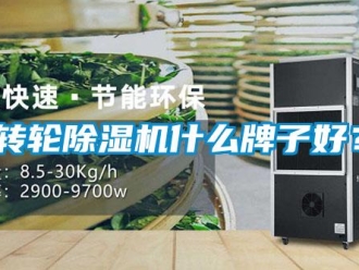 知識百科轉輪除濕機什么牌子好？