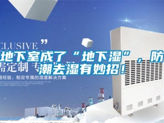 企業(yè)新聞地下室成了“地下濕”，防潮去濕有妙招！