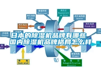 企業(yè)新聞日本的除濕機品牌有哪些 國內(nèi)除濕機品牌格局怎么樣