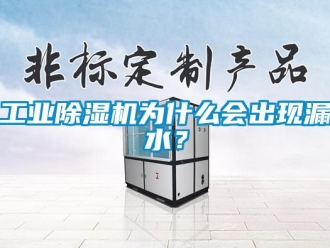 企業新聞工業除濕機為什么會出現漏水？