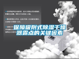 常見問題保障吸附式除濕干燥器露點(diǎn)的關(guān)鍵因素