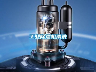 企業(yè)新聞工業(yè)除濕機(jī)清洗