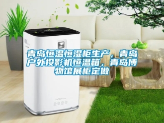 知識(shí)百科青島恒溫恒濕柜生產(chǎn)，青島戶外投影機(jī)恒溫箱，青島博物館展柜定做