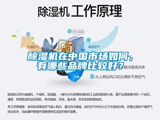 企業新聞除濕機在中國市場如何，有哪些品牌比較好？
