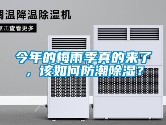 常見問題今年的梅雨季真的來了，該如何防潮除濕？