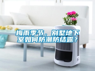 企業(yè)新聞梅雨季節(jié)，別墅地下室如何防潮防結(jié)露？