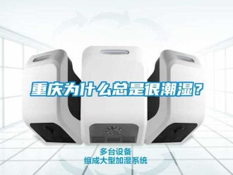 知識(shí)百科重慶為什么總是很潮濕？