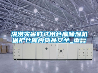企業(yè)新聞洪澇災(zāi)害時選用倉庫除濕機保護(hù)倉庫內(nèi)貨品安全_重復(fù)
