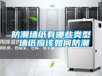 常見問題防潮墻紙有哪些類型 墻紙應(yīng)該如何防潮