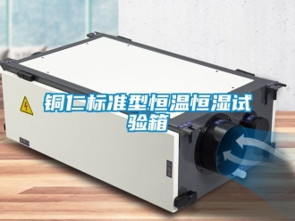 知識百科銅仁標(biāo)準(zhǔn)型恒溫恒濕試驗(yàn)箱