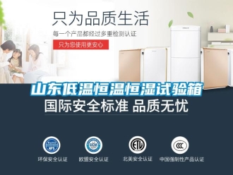 知識百科山東低溫恒溫恒濕試驗箱