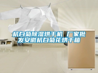 企業(yè)新聞杭白菊除濕烘干機 廠家批發(fā)安徽杭白菊花烘干箱