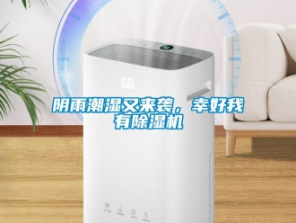 知識百科陰雨潮濕又來襲，幸好我有除濕機