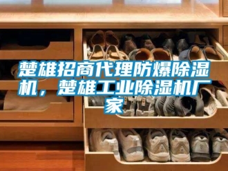 企業(yè)新聞楚雄招商代理防爆除濕機，楚雄工業(yè)除濕機廠家