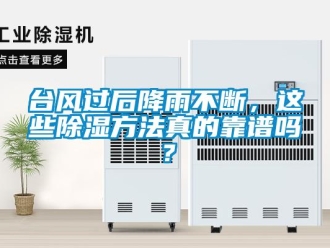 企業新聞臺風過后降雨不斷，這些除濕方法真的靠譜嗎？